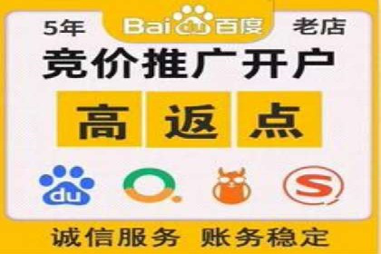 搜索引擎营销（SEM）的广告创意与落地页设计——以某成功创业公司的实践为例